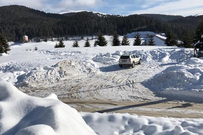 1 Day 4x4 Tour in Carpathian Mountains - Five hours in Bucegi Natural Park