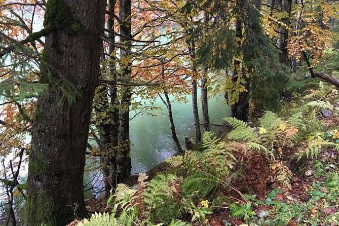1 Day 4x4 Tour in Carpathian Mountains - Guides who shape the experience