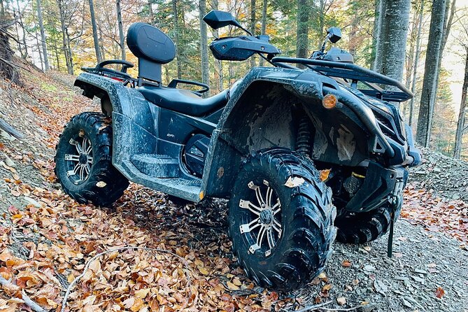 1 Day ATV Tour in Carpathian Mountains - Guide style and the value of flexibility