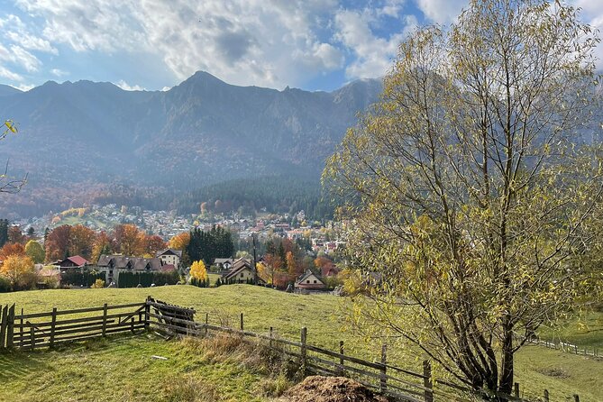 1 Day ATV Tour in Carpathian Mountains - Is $228.29 a fair price?