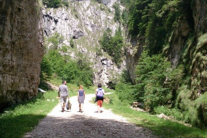 1 day CARPATHIAN PEAKS & CHALETS hike - A good choice for families, couples, and cautious solo hikers