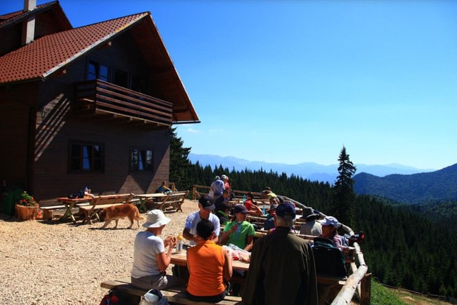 1 day CARPATHIAN PEAKS & CHALETS hike - Zărnești Gorges adds drama without another summit