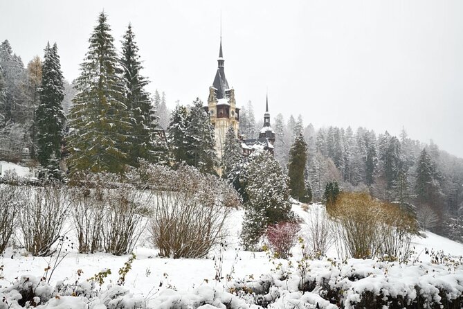 1 Day Castles Tour - Sinaia and Bran - Timing, group size, and practical details