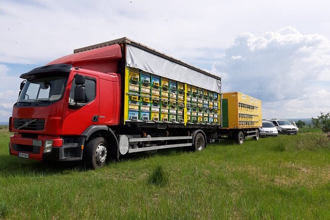 10 hours Private Apiary Tour in Romania - From Bucharest - Honey tasting and the food that comes with it