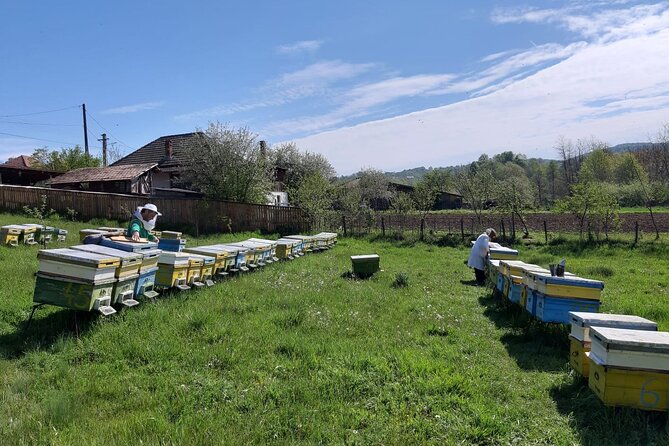10 hours Private Apiary Tour in Romania - From Bucharest - What a private tour changes