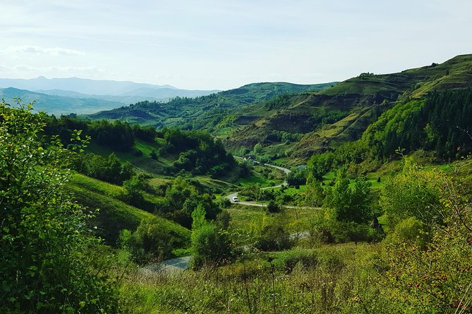 11-Day Romania Tour from Bucharest with Transylvania & Bucovina - The Mocanita train and Merry Cemetery add character
