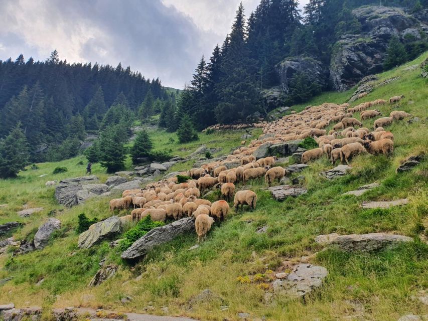 2 Day Private Tour from Bucharest in Transylvania - Why this two-day route works from Bucharest