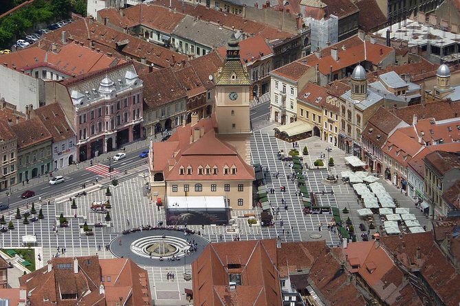 2-Day Small-Group Tour to Dracula's Castle, Rasnov Fortress, Peles Castle, Sighisoara and Libearty Brown Bear Sanctuary with Overnight in Brasov - Libearty Bear Sanctuary: a better way to see rescued bears