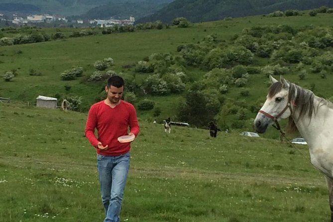2 Days Private Tour Transfagarasan Road & Sibiu from Bucharest - An overnight break and what you need to arrange
