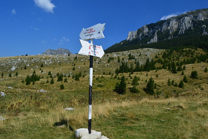4-Day Carpathian Trek: Bucegi Mountains and Piatra Craiului National Park - Day 2: A full mountain day with room to adapt