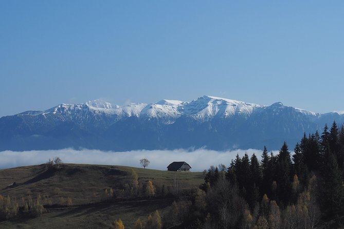 4-Day Carpathian Trek: Bucegi Mountains and Piatra Craiului National Park - Days 2 through 4: Three different faces of Piatra Craiului