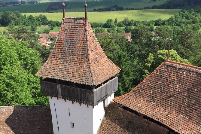 4-Day Private Tour: Bucharest to Budapest via Transylvania - Day four: a final morning in Timișoara