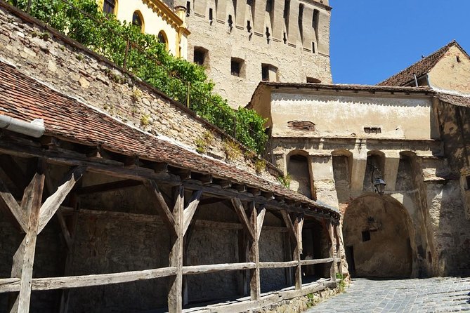 4-Day Private Tour in Transylvania from Bucharest - What the private guide adds