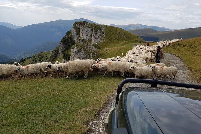 4x4 Driving Experience at Flying Altitudes - 7 Days - Day four: The Transfăgărășan and Bâlea Lake