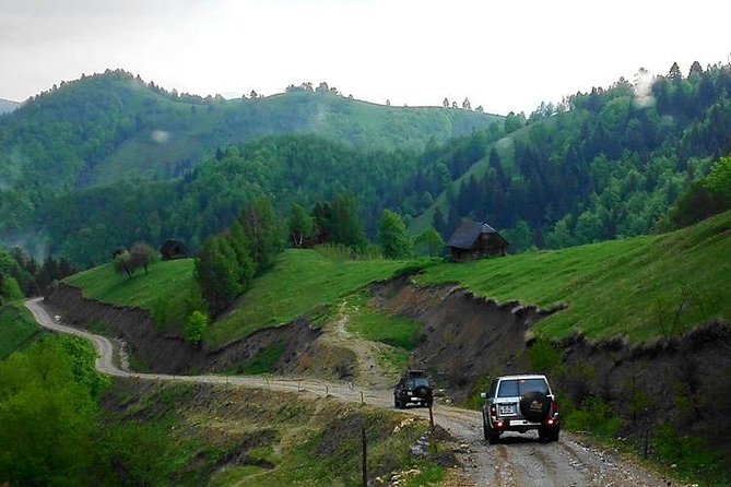 4x4 Nature Tour in Land of Dracula - 1 day - Poiana Mărului: lunch and quiet country roads