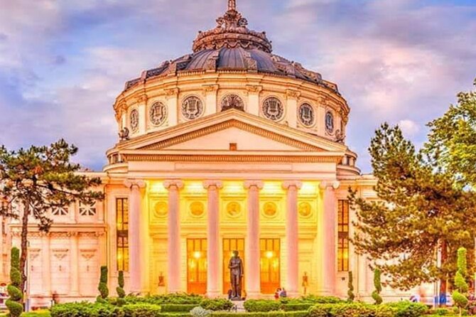 5h Bucharest City Tour by Car/Minivan – Small Group max 7 people - Văcărești Natural Park, Bucharest’s urban wild side
