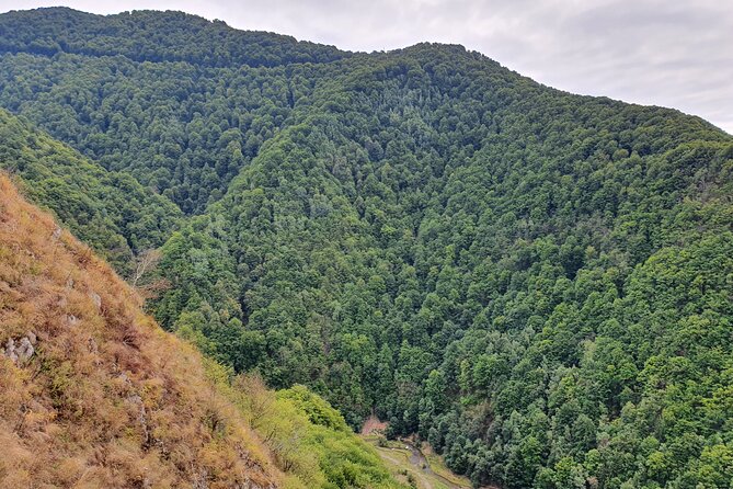 6 Days Private Tour in Romania Spectacular Places from Bucharest - Comfort, flexibility, and what you pay extra for