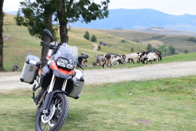 7 Day Best of Transylvania Motorcycle Tour from Cluj - Day 5: The famous bends of the Transfagarasan