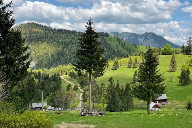 Adventure day trip from Iasi | Hiking in the Carpathian Mountains - Is the $231.19 price fair?