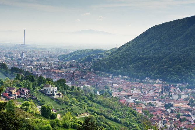 Adventure trip to Transylvania in 3 days from Bucharest - Muntele Tampa offers a close bear encounter