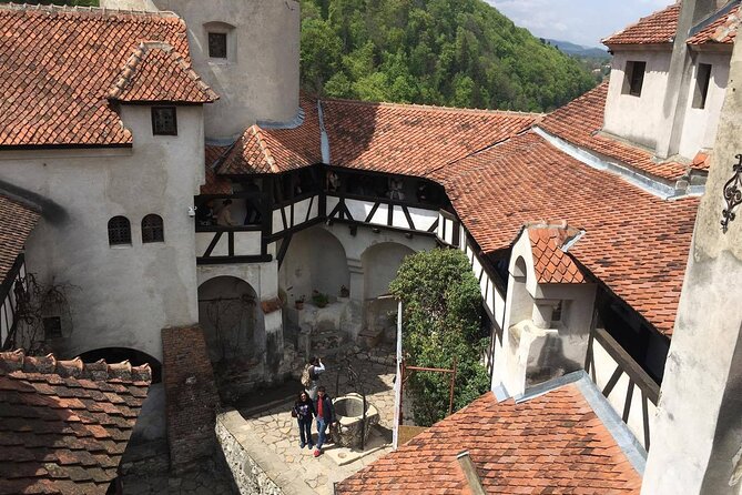 Bear Sanctuary and Bran Castle from Brasov - Timing, fitness, and the best season