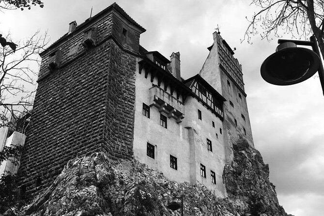 Bear Sanctuary and Bran Castle from Brasov - Who will get the most from this tour