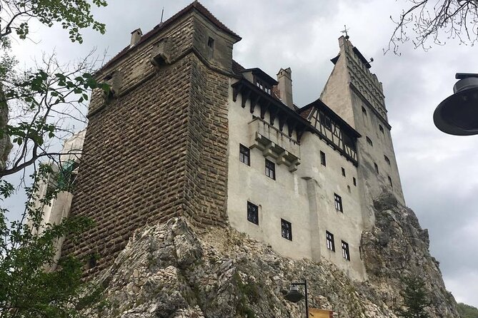 Bear Sanctuary and Bran Castle from Brasov - Should you book Bear Sanctuary and Bran Castle from Brasov?
