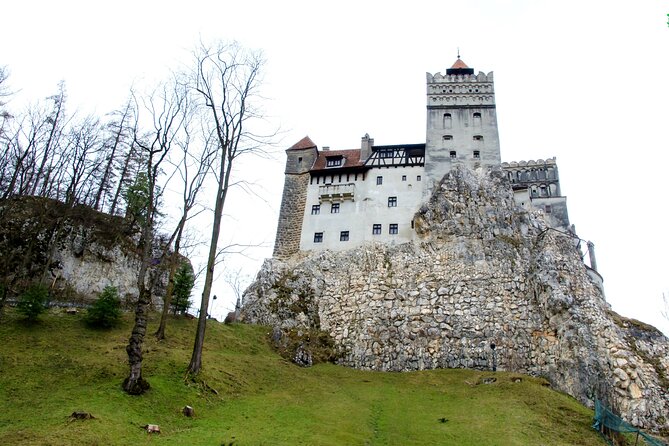 Bear Sanctuary and Bran Castle from Brasov - Bran Castle and the Dracula connection