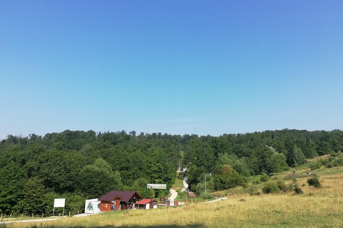 Bear Sanctuary and Dracula's Castle, 1-day Private Tour - Why the bear sanctuary makes the early start worthwhile