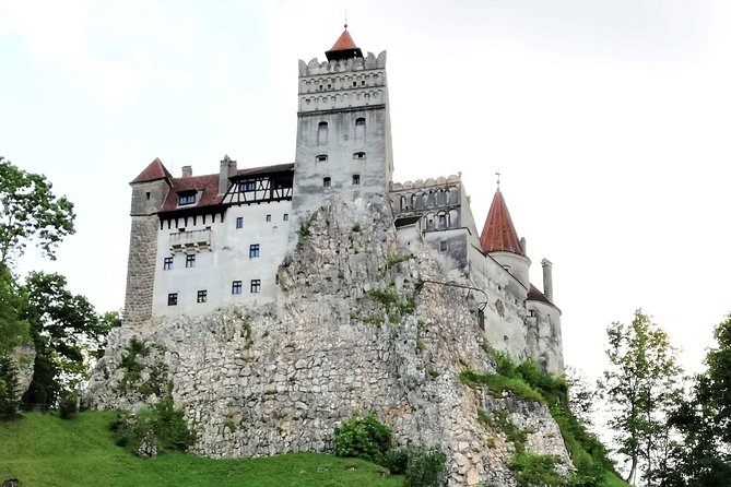 Bear Sanctuary and Dracula's Castle, 1-day Private Tour - What private touring adds to the day