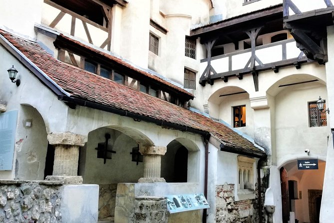 Bear Sanctuary and Dracula's Castle, 1-day Private Tour - Physical effort, weather, and what to pack