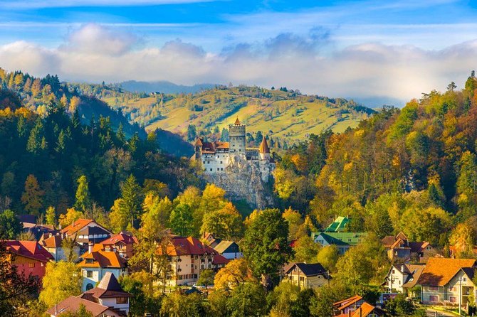 Bear Sanctuary, Bran (Dracula) Castle, Peles Castle From Brasov - Why this Brasov day trip works so well