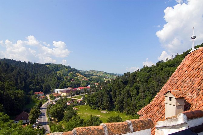 Bear Sanctuary, Bran (Dracula) Castle, Peles Castle From Brasov - Should you book the Bear Sanctuary, Bran Castle, and Peles tour?