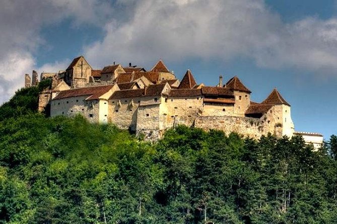 Bear Sanctuary & Rasnov Fortress - Private day tour from Bucharest - The long drive from Bucharest