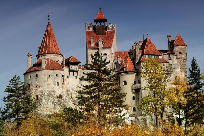 Bear Sanctuary Zarnesti,Bran Castle,Rasnov Fortres w/Hotel pickup - Why this Brasov day trip works so well