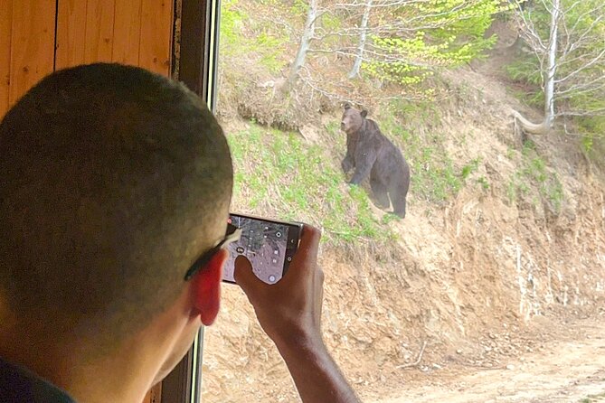 Bear Watching In Brasov: Observe Wild Bears From A Hideout (100%) - What to bring and how to prepare