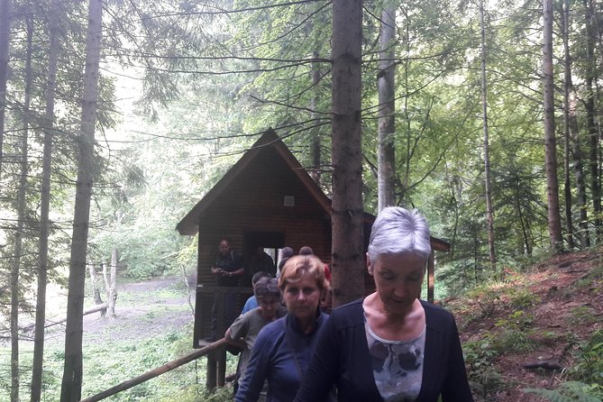 Bear Watching in The Wild from Brasov (100 %) - Looking for more than bears