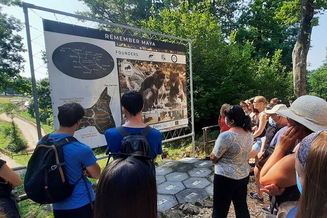 Bears Sanctuary, Dracula Castle and Poiana Brasov-Private day tour from Brasov - Who will get the most from this experience