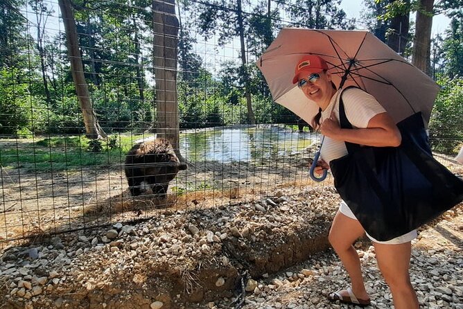 Bears Sanctuary, Dracula Castle and Poiana Brasov-Private day tour from Brasov - Should you book this Brasov day tour?
