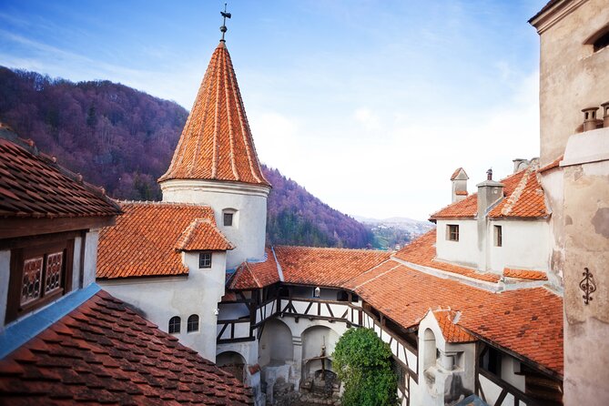Bears Sanctuary, Dracula Castle and Poiana Brasov-Private day tour from Brasov - Bran Castle and the Dracula connection