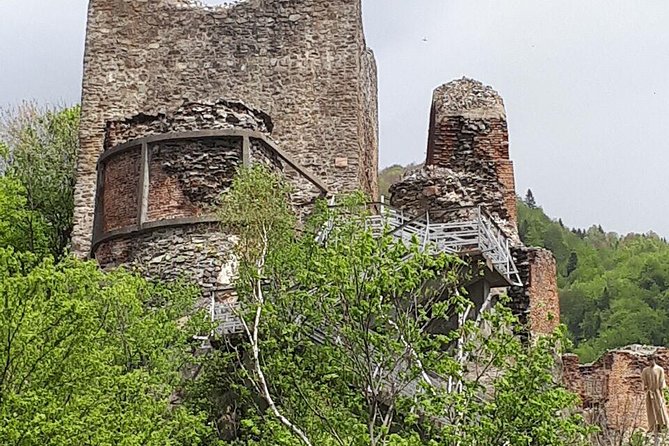 Bears Sanctuary, Dracula's Castle, Brasov Day Trip Private Tour from Bucharest - Bran Castle beyond the Dracula label