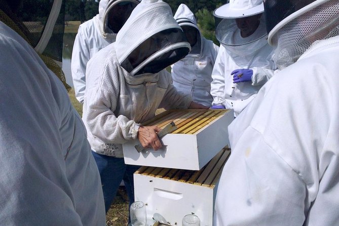 Beekeeping Day Trip| Private Guided Tour from Bucharest - Leaving Bucharest for Valcea County