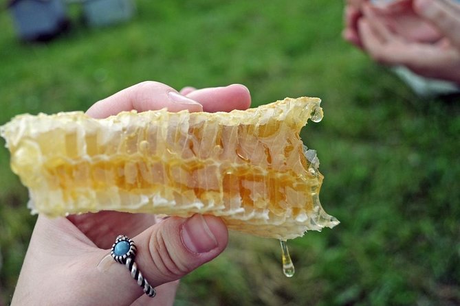 Beekeeping Day Trip| Private Guided Tour from Bucharest - Meeting Nicolas and his father at the apiary