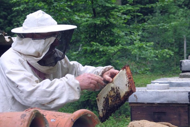 Beekeeping Day Trip| Private Guided Tour from Bucharest - Tasting honey and other bee products