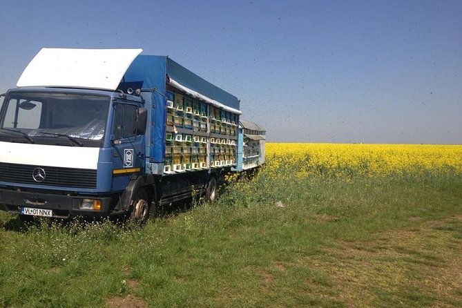 Beekeeping Day Trip| Private Guided Tour from Bucharest - Who will enjoy this day most