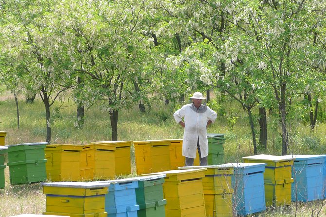 Bees Adventure in Romania - Private Day Trip from Bucharest - Key points to know before you book