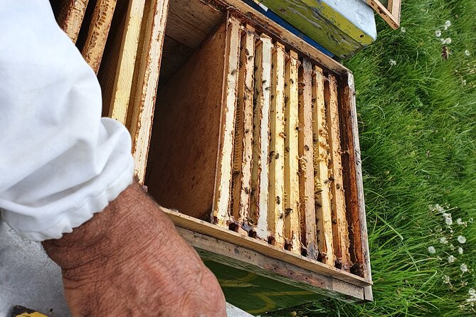 Bees Adventure in Romania - Private Day Trip from Bucharest - The three-hour road to Valcea County