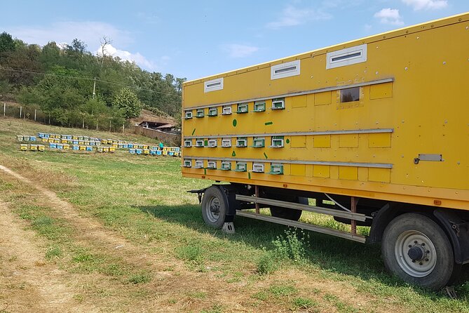 Bees Adventure in Romania - Private Day Trip from Bucharest - What the price means for a private group