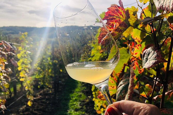 Bike & Wine tour in Dealu Mare wineland - Why Dealu Mare works so well for a day trip
