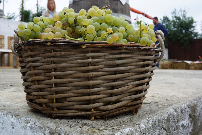 Bike & Wine tour in Dealu Mare wineland - What the guide and group size add